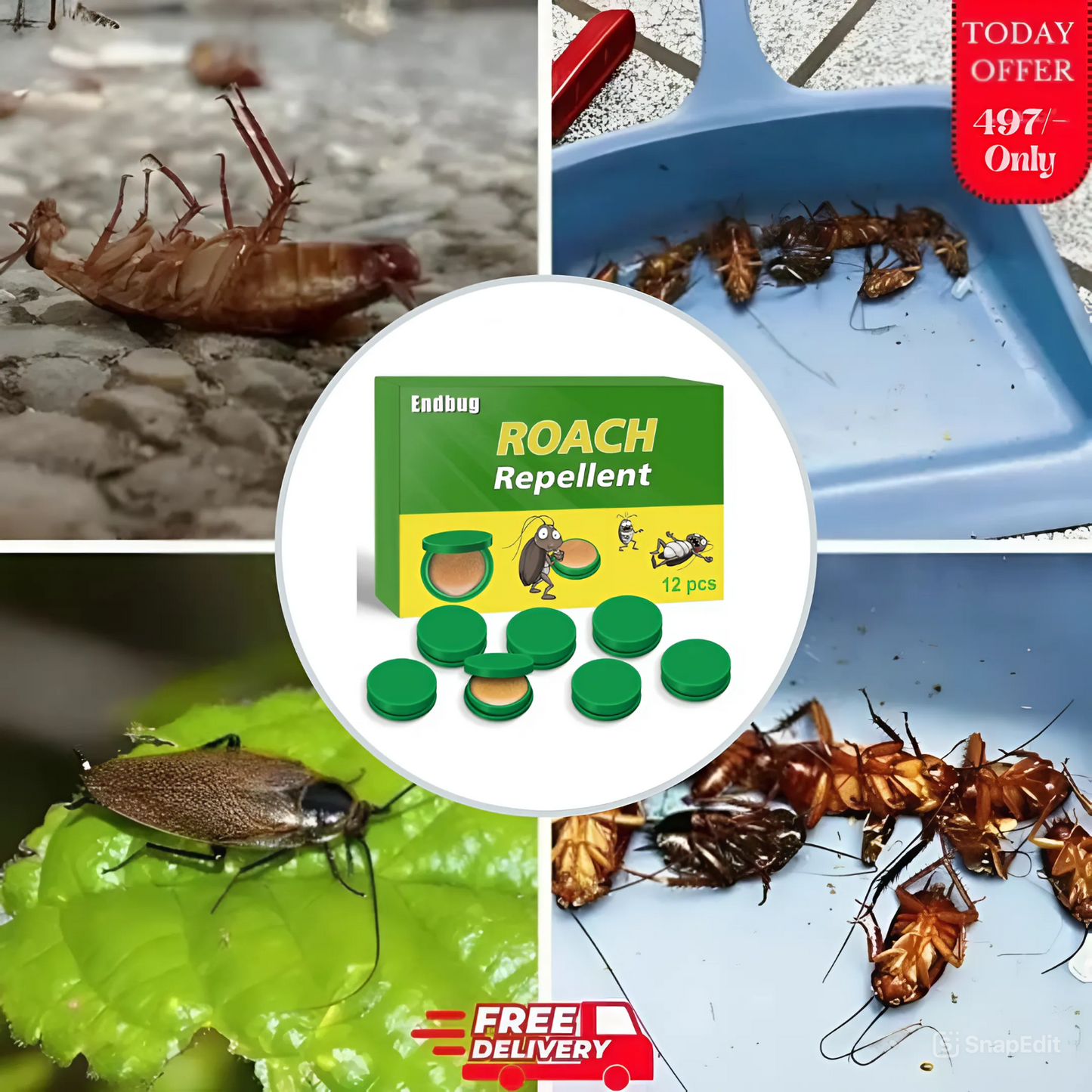 Cockroach Killer Gel (12pcs)